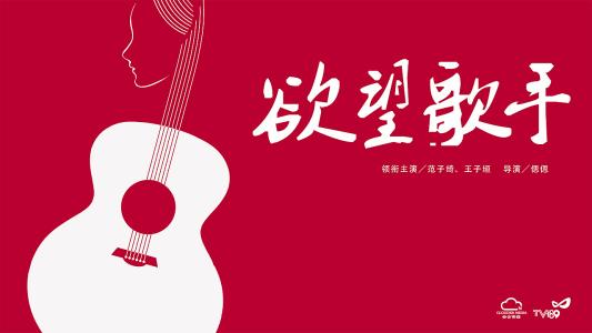 做假伊利诺斯州身份证